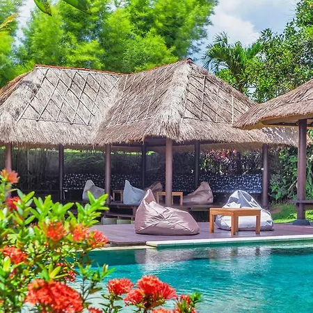 Endless Summer Surf Camp Bali Hostel
